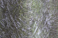 Seavington St Michael fibreglass roof work